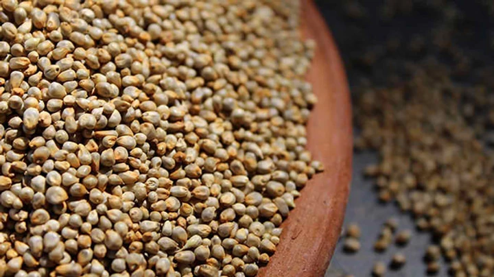 Pearl millets in types of millets