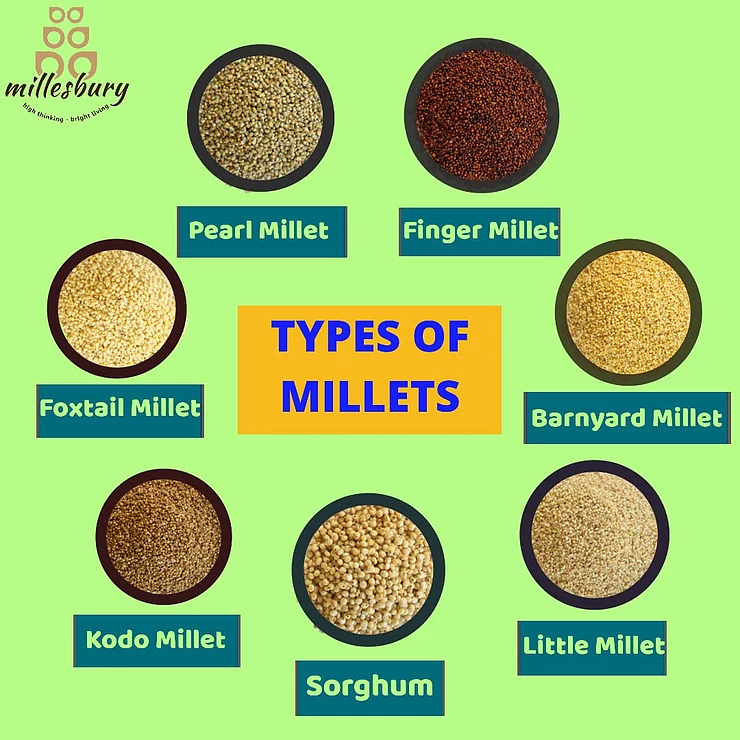 types of millets research paper