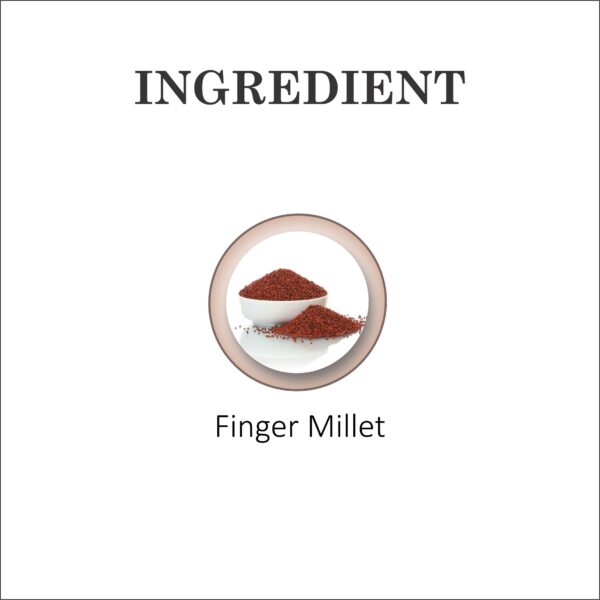 Finger Millet | Ragi | Nachni - Image 5