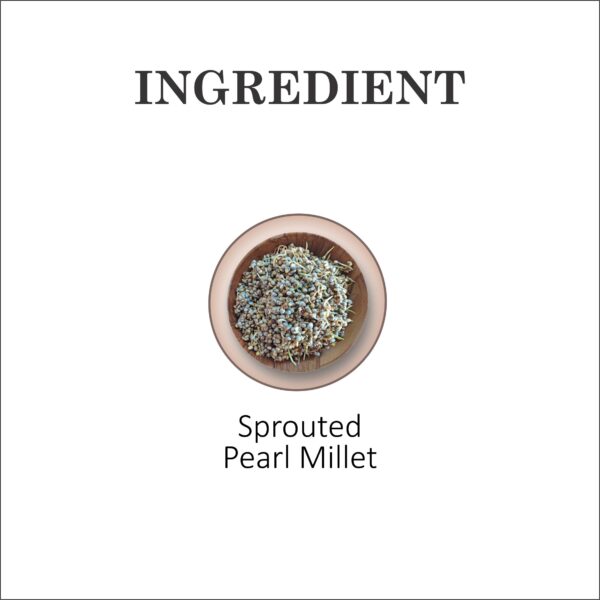 Pearl Millet (Kambu | Bajra) Flakes - Image 5