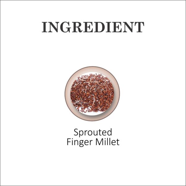 Finger Millet (Ragi | Nachni) Flakes - Image 4