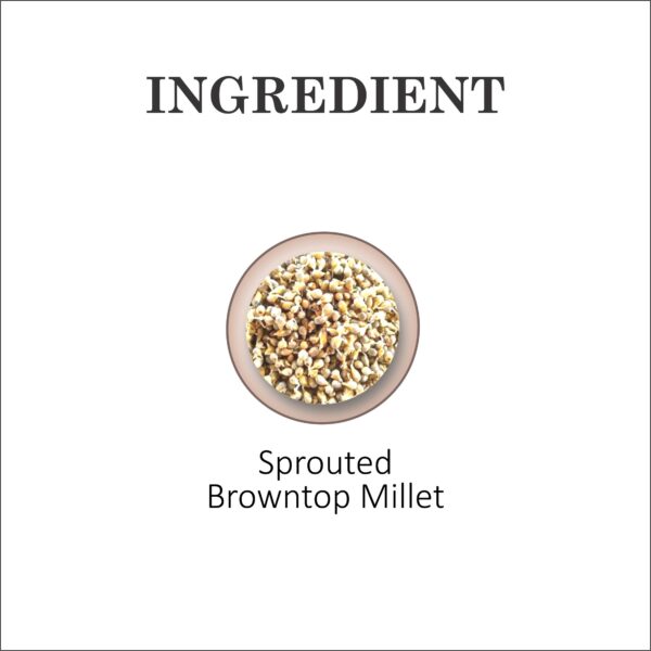 Browntop Millet (Palaa Pul | Choti Kangni) Flakes - Image 5